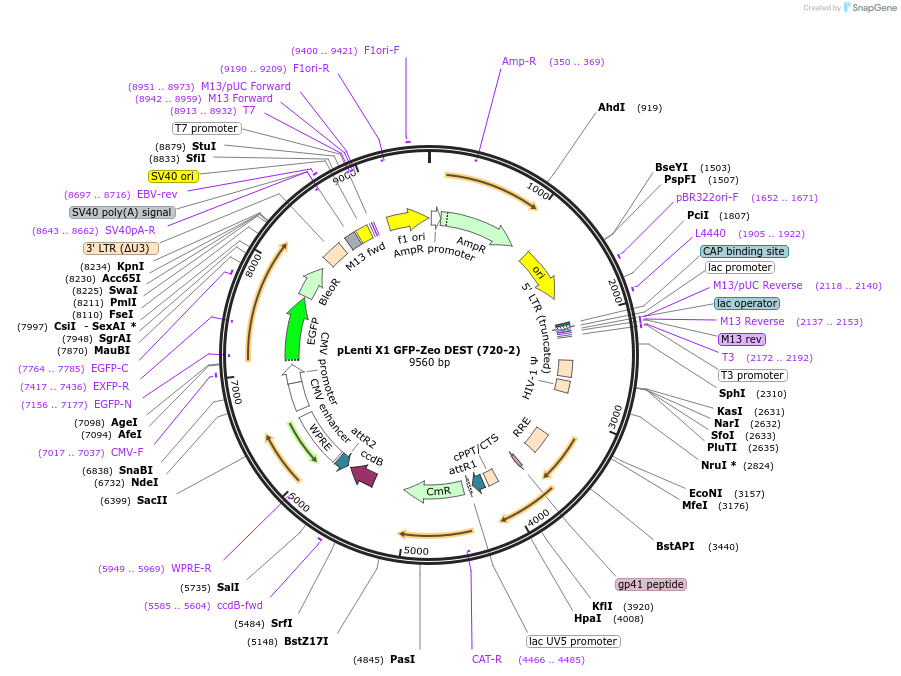 8962_map