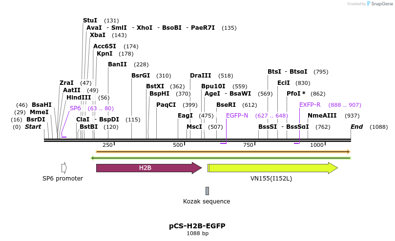 89625_map
