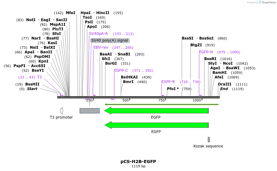 89626_map