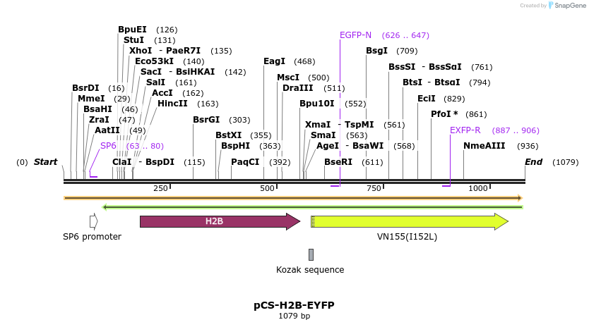 89629_map