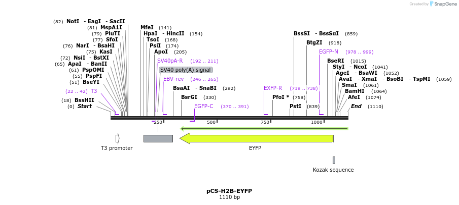 89630_map