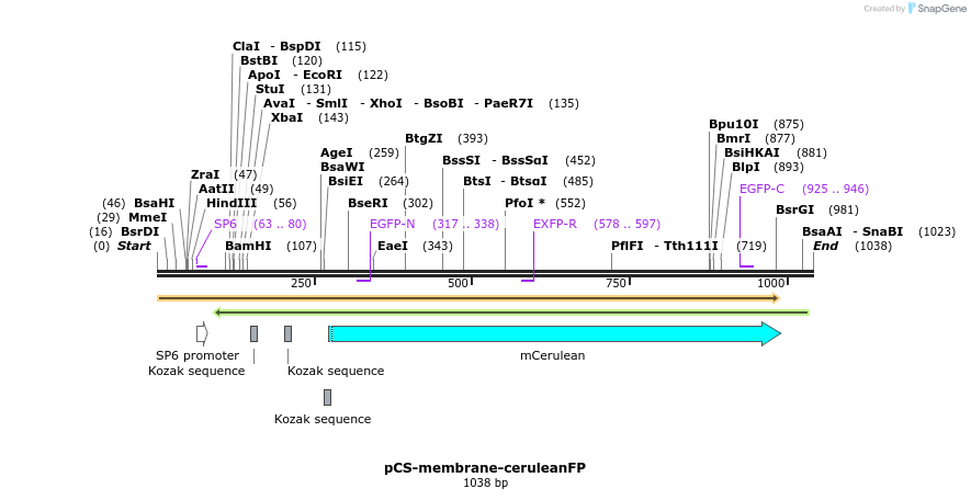 89633_map