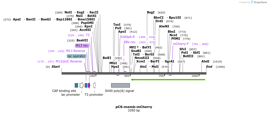89636_map