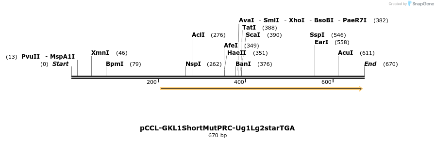 89657_map