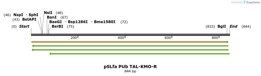 89658_map