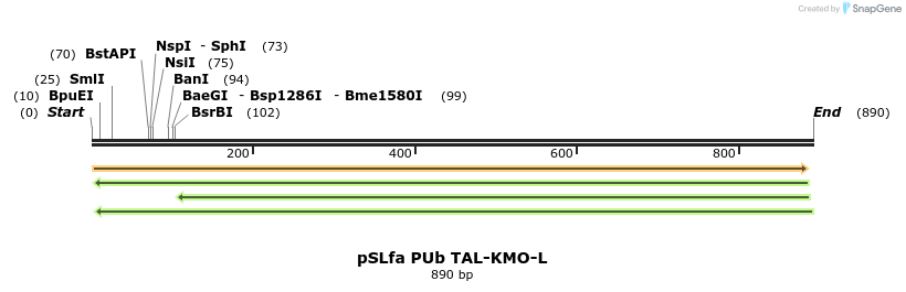 89659_map