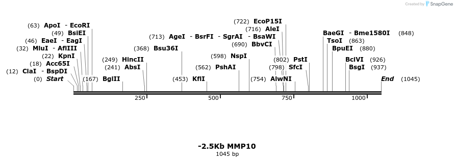 89663_map