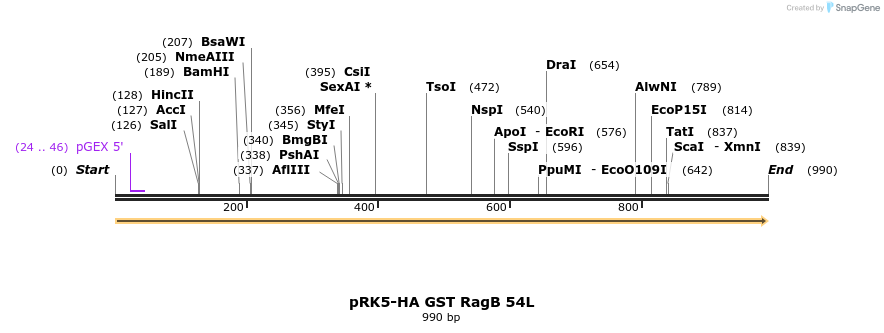 8967_map