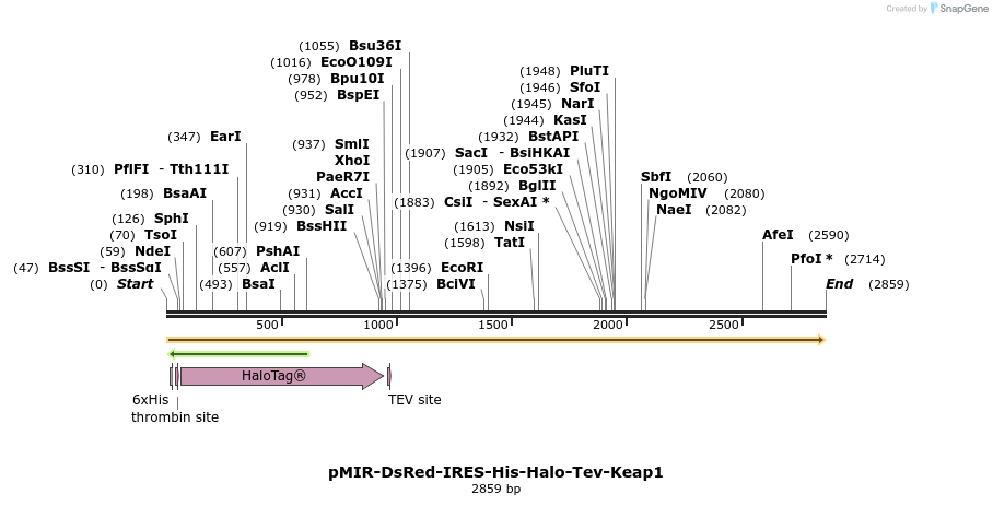 89670_map