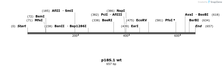 89677_map