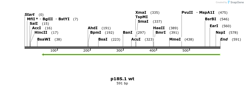 89678_map