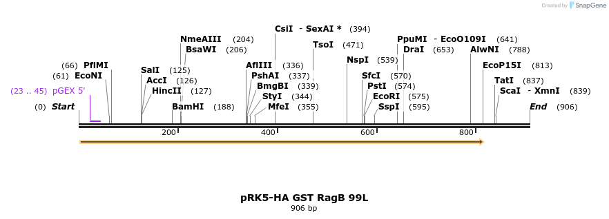 8968_map