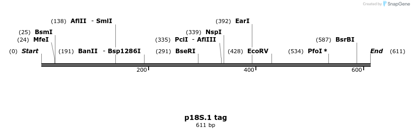 89684_map