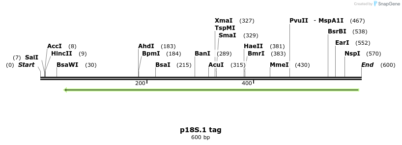 89685_map