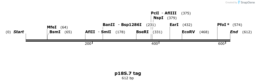 89686_map