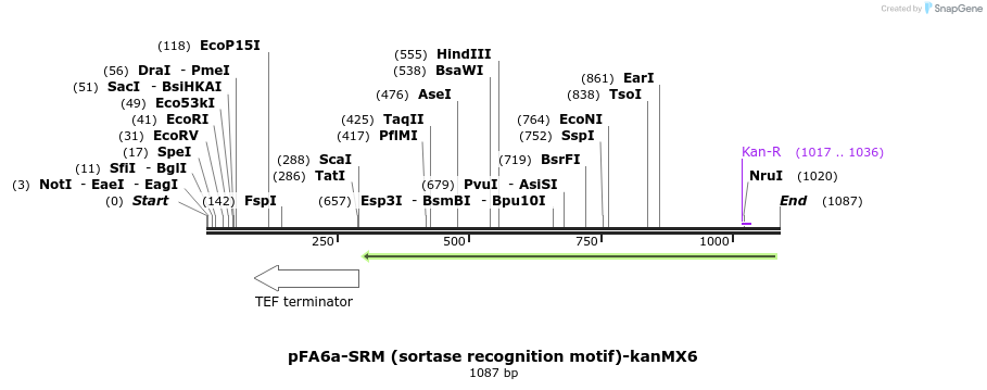 89687_map