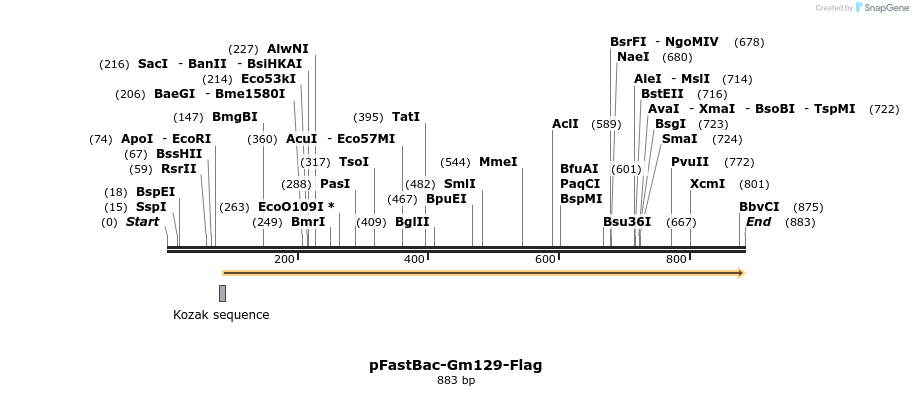 89688_map