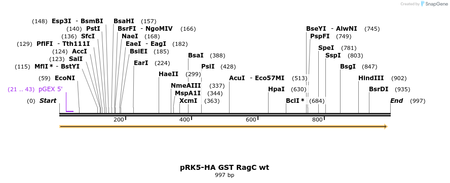 8969_map