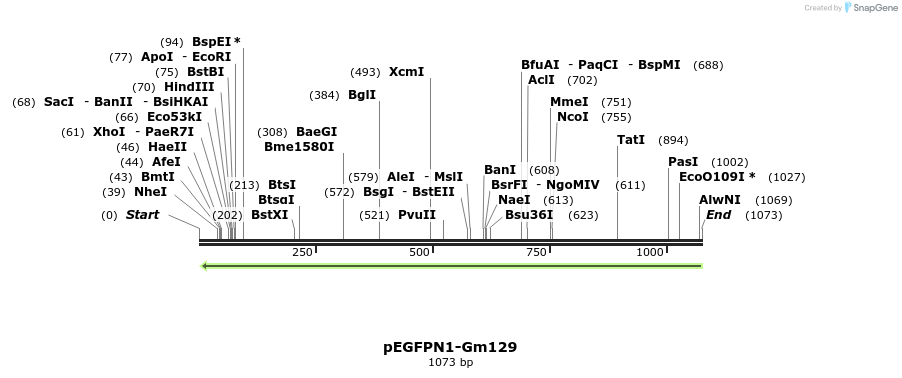 89690_map