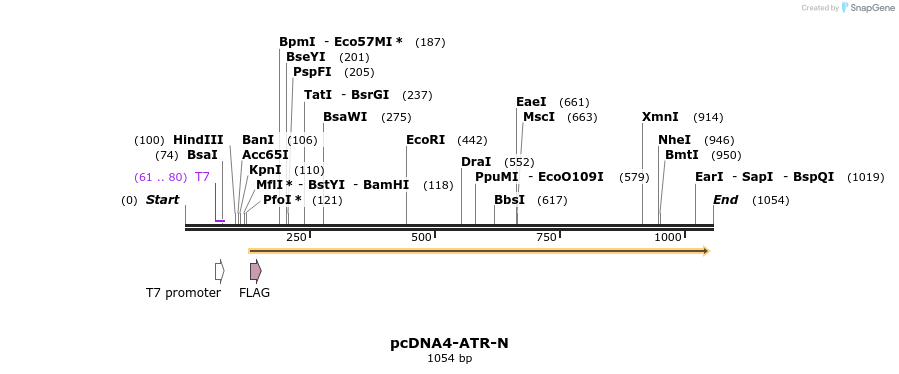 89691_map