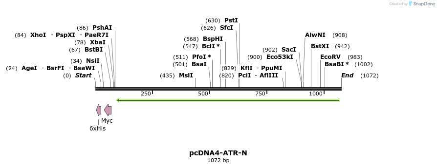 89692_map