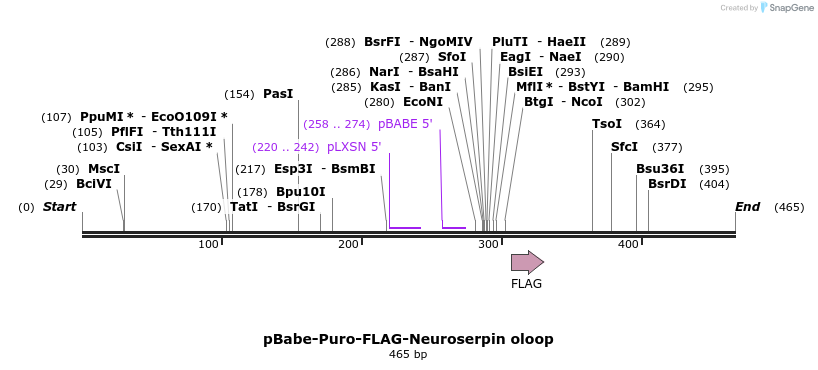 89702_map