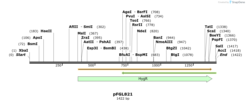 89705_map