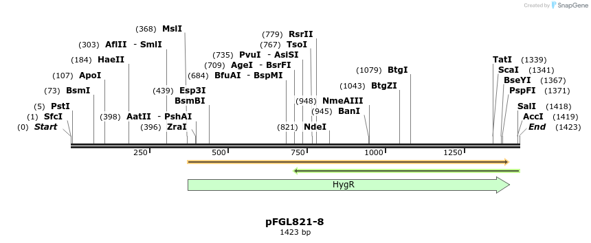 89707_map