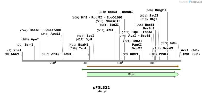 89709_map