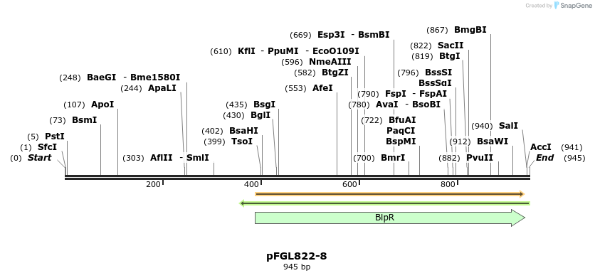 89711_map