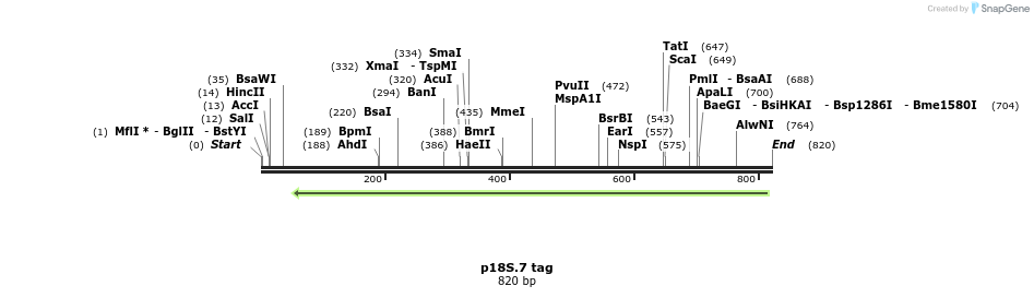 89712_map