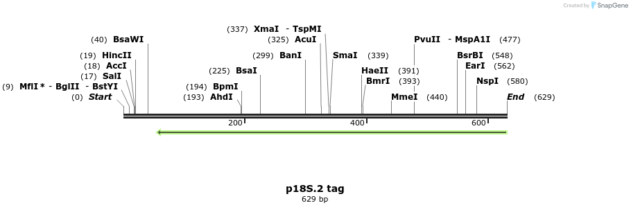 89714_map