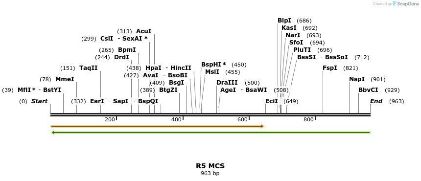 89715_map