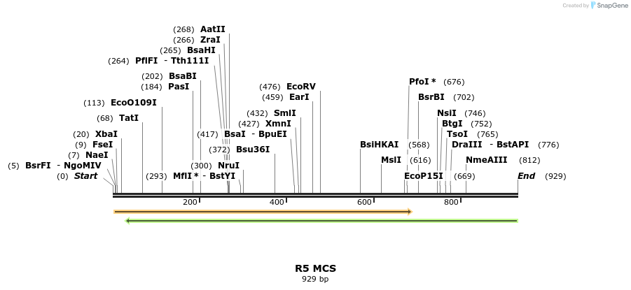 89717_map