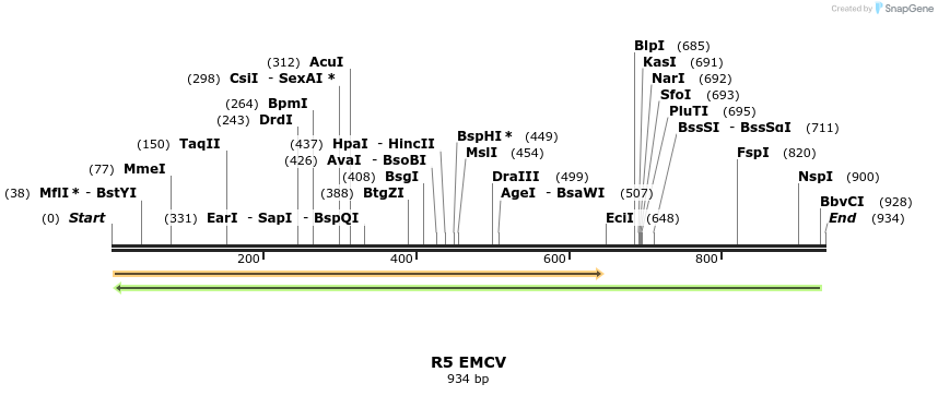 89718_map