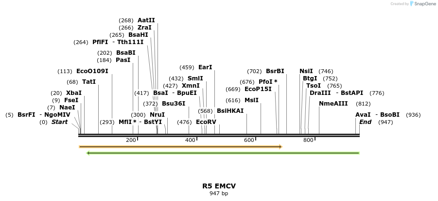 89719_map