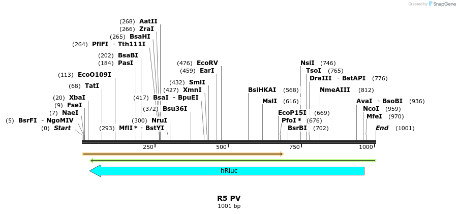 89721_map