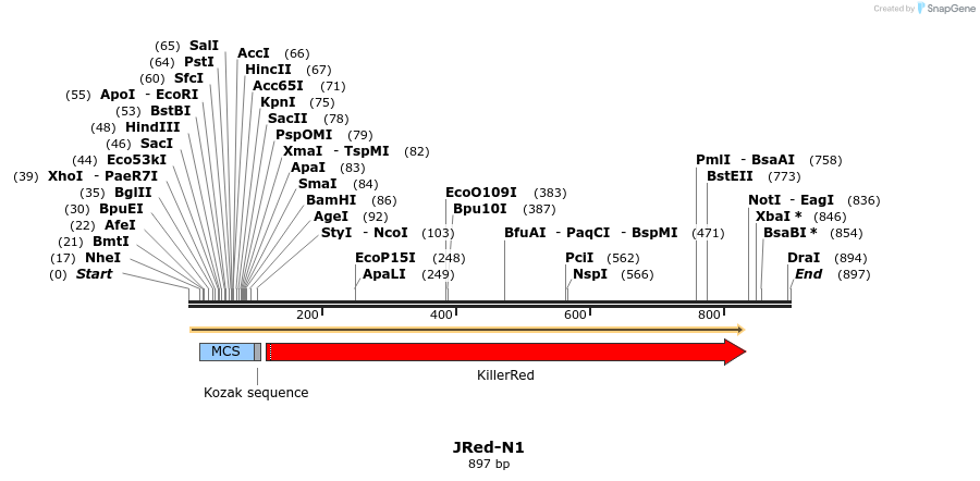 89723_map