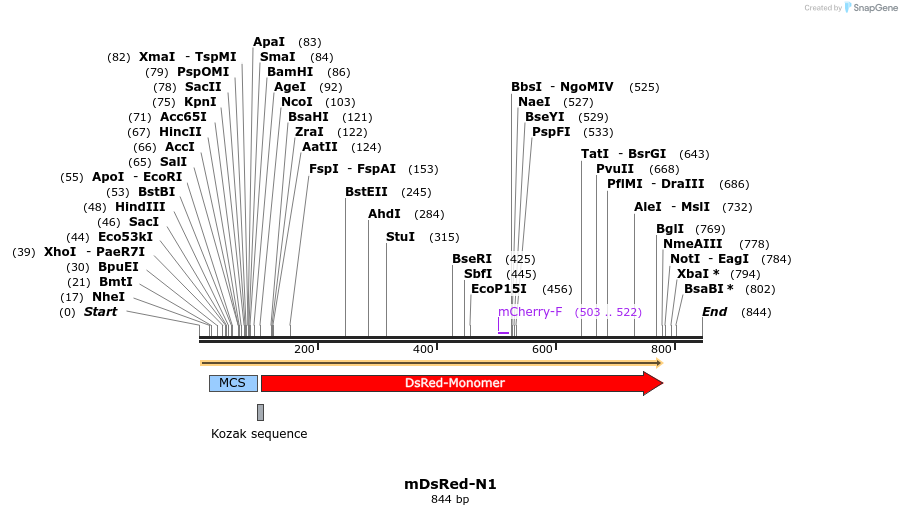 89728_map