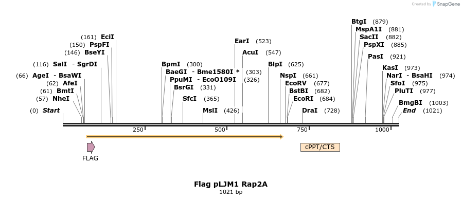 8973_map