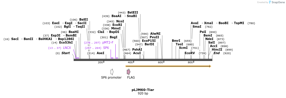 89730_map