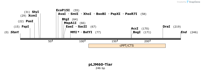 89733_map