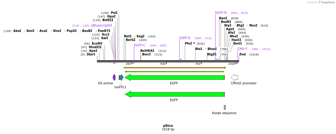 89744_map