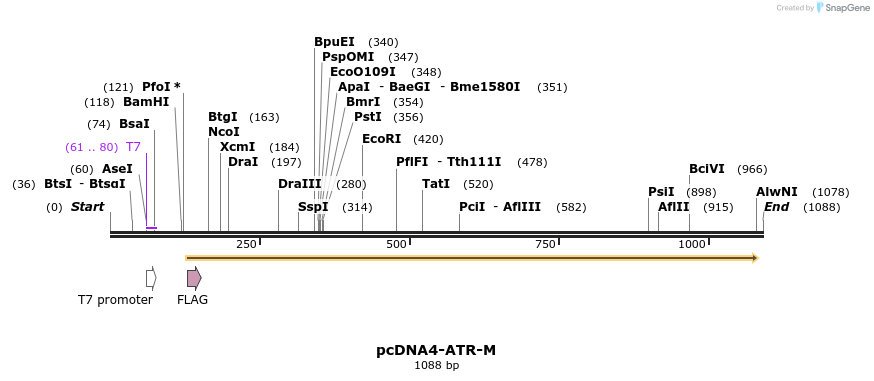 89747_map