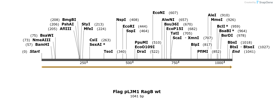 8975_map