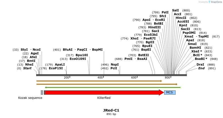 89755_map