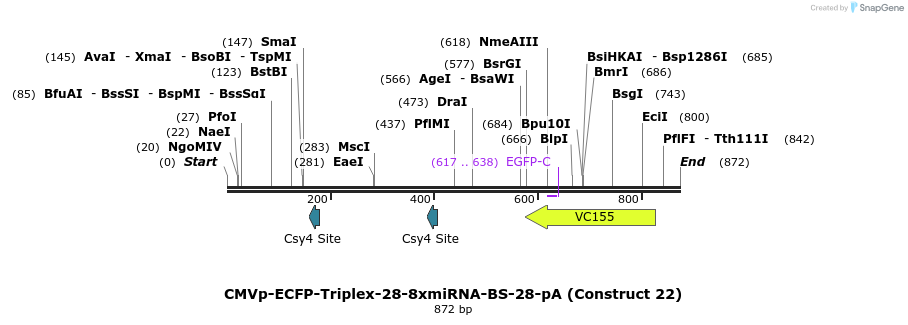 89756_map