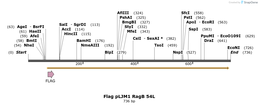 8976_map