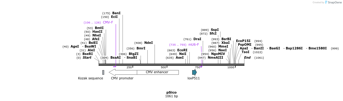 89761_map