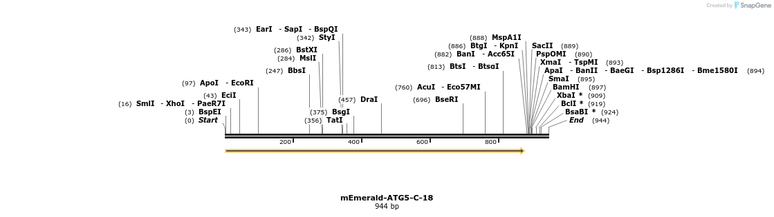 89765_map